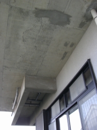 白華現象 エフロレッセンス